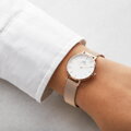 Hodinky dámske DANIEL WELLINGTON DW00100219 - PETITE MELROSE (zx705a)