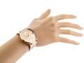 Hodinky dámske TOMMY HILFIGER 1781944 JENNA (zf509c)