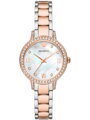 DÁMSKE HODINKY EMPORIO ARMANI CLEO AR11499 (zi546a)