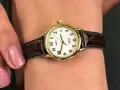 Hodinky dámske TIMEX Easy Reader T20071 + BOX