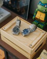 Hodinky pánske CASIO MTP-VD01D-2E (zd185c) + BOX