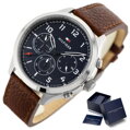 Hodinky pánske TOMMY HILFIGER 1791855 ASHER (zf040b)