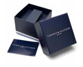 Hodinky dámske TOMMY HILFIGER 1781977 ARI (zf526a)