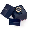 Dámske hodinky TOMMY HILFIGER 1782198 HAVEN (zf539a)