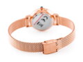 Hodinky dámske ALBATROSS ABBC16 (za543e) rose gold / silver
