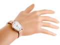 Hodinky dámske ALBATROSS ABBC16 (za543e) rose gold / silver