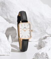 Hodinky dámske DANIEL WELLINGTON DW00100434 - Quadro Pressed Sheffield Gold 32mm + BOX