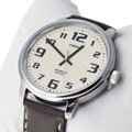 ZEGAREK MĘSKI TIMEX South Street T28201 + BOX