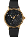 ZEGAREK DAMSKI TIMEX CELESTIAL OPULENCE TW2T87600 (zt672a)