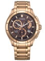 Zegarek Męski Citizen BL8163-50X