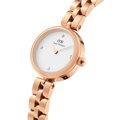 DÁMSKE HODINKY DANIEL WELLINGTON Elan Lumine Rose Gold 22mm DW00100717 + KRABIČKA (zw522a)