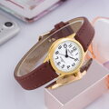 PERFECT LXC048G-02 (zp549a)