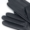 Wittchen 46-6A-003-1