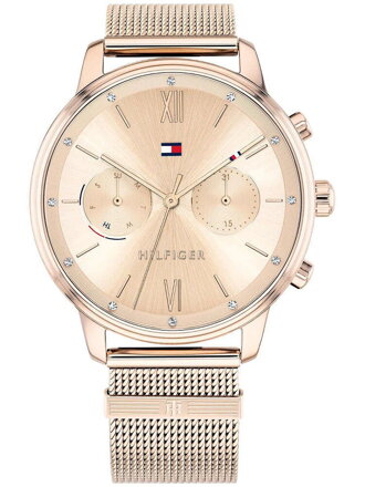 Hodinky dámske TOMMY HILFIGER 1782303 BLAKE (zf515d)