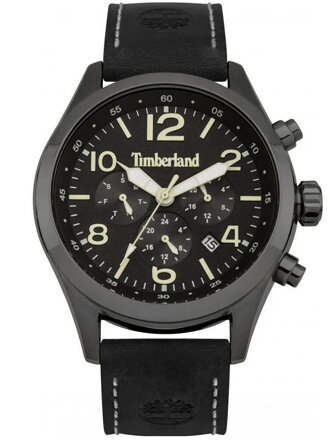 Hodinky pánske Timberland ASHMONT TBL.15249JSU/02 (zq006d)