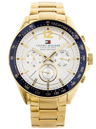 Hodinky pánske TOMMY HILFIGER 1791121 LUKE (zf006a)