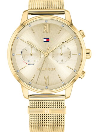 Hodinky dámske TOMMY HILFIGER 1782302 BLAKE (zf515a)